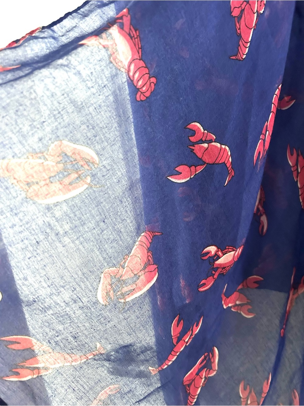 Crawfish Beach Coverup - Picture 2 of 2